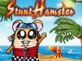 Stunt Hamster