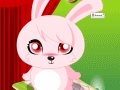 Baby Rabbit Dressup