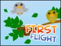 First Flight