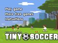 Tiny Soccer