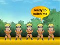 Naruto Catch