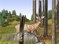 Bow Hunter - Target Challenge