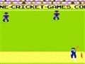 Pixel Cricket