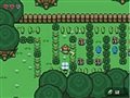 Legend of Zelda - links backyard