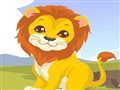Lion care