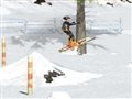 Ski SIM