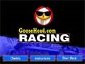 Goose Drag Racing