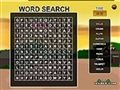Word search gameplay - 38