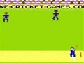Pixel-cricket