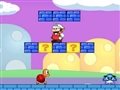 Mario mushroom Adventure 2